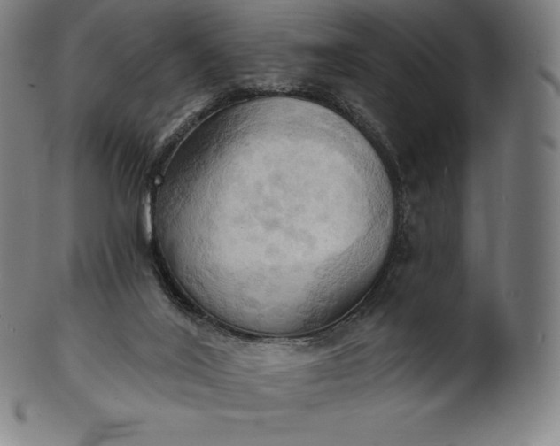 X0000101210020200807111044