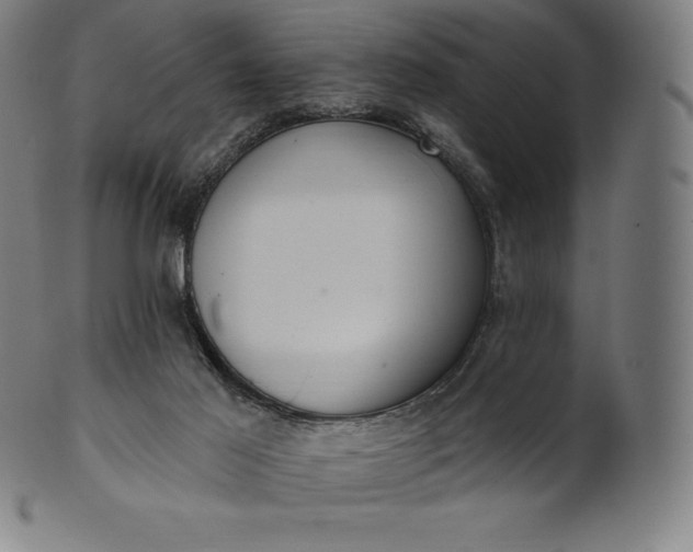 X0000101210021200807111044