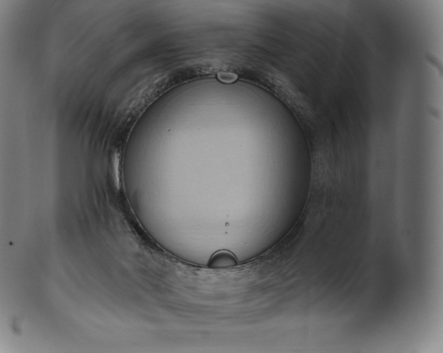 X0000101210022200807111044