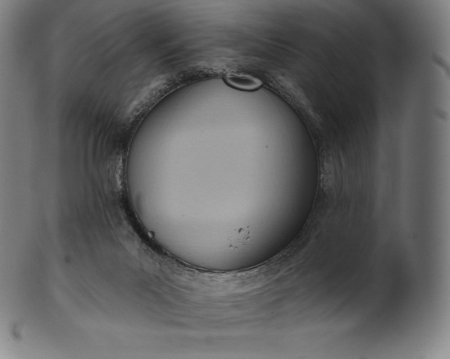 X0000101210023200807111044