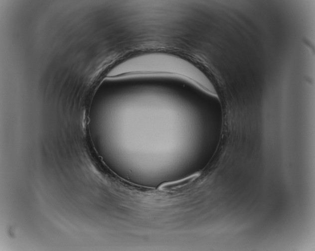 X0000101210024200807111044