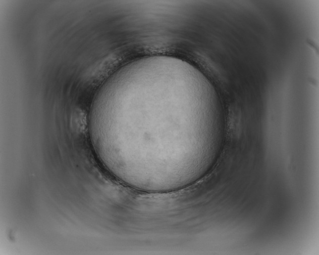 X0000101210025200807111044