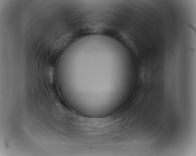 X0000101210026200807111044