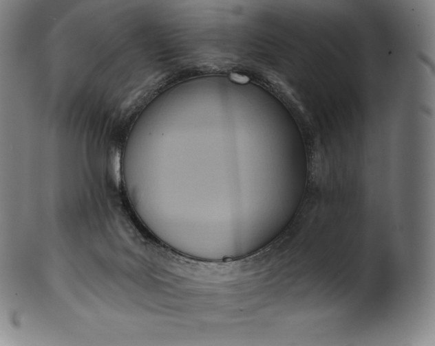 X0000101210027200807111044