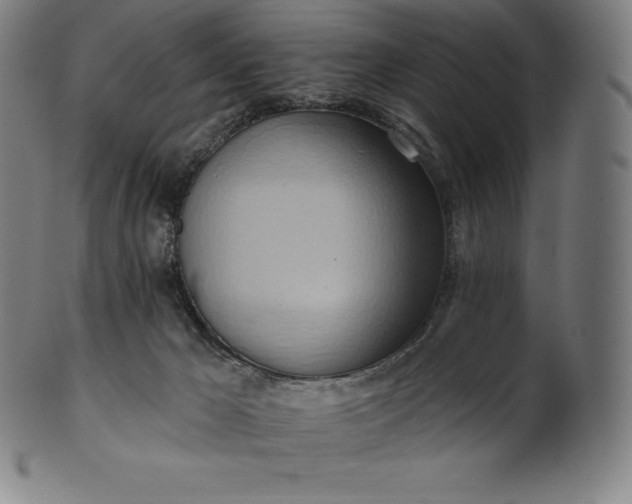 X0000101210029200807111043