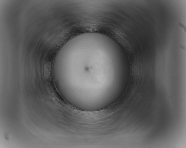 X0000101210030200807111043