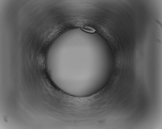 X0000101210031200807111043