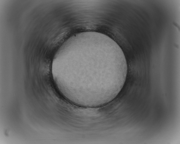 X0000101210032200807111043