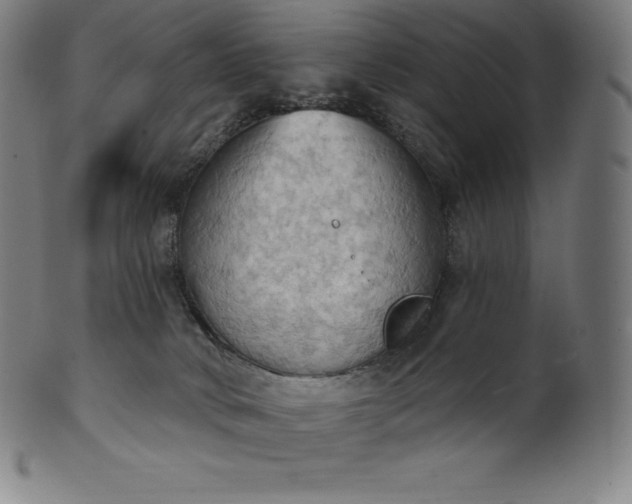 X0000101210034200807111043