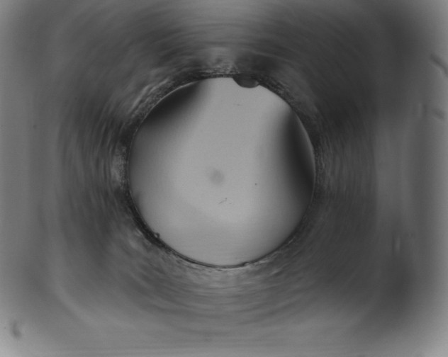 X0000101210035200807111043