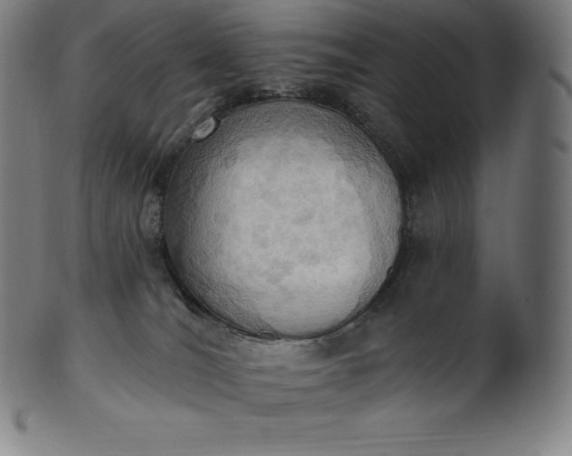 X0000101210036200807111043