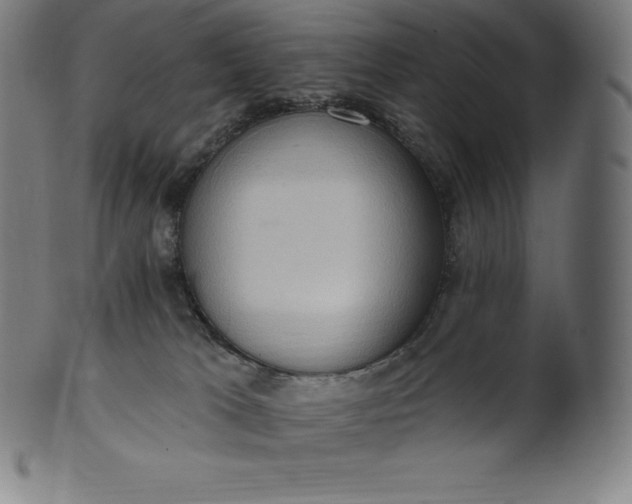 X0000101210037200807111043