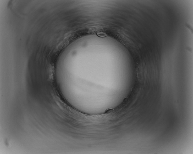 X0000101210038200807111043