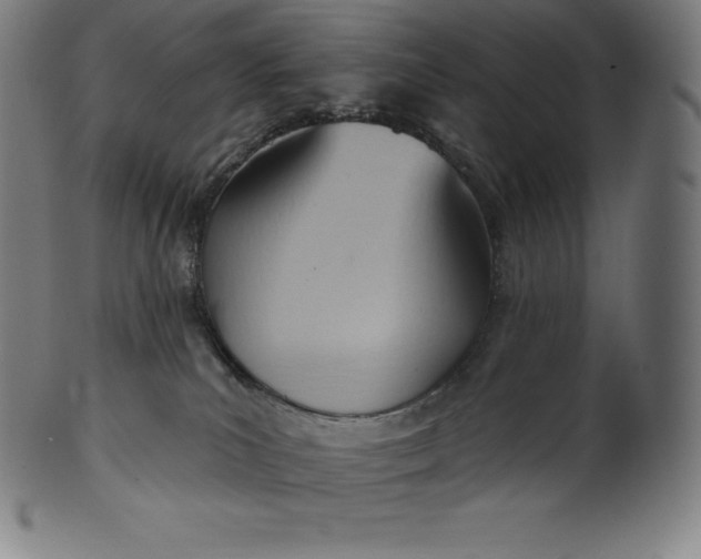 X0000101210039200807111043