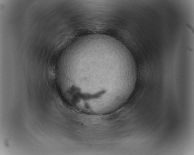 X0000101210040200807111043