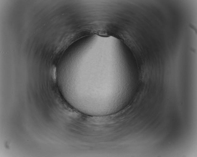 X0000101210041200807111043