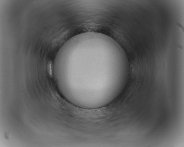 X0000101210042200807111043