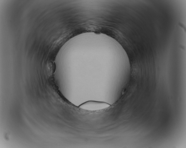 X0000101210043200807111043