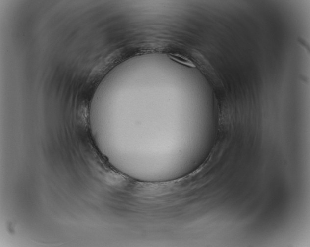 X0000101210045200807111043