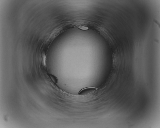 X0000101210046200807111043