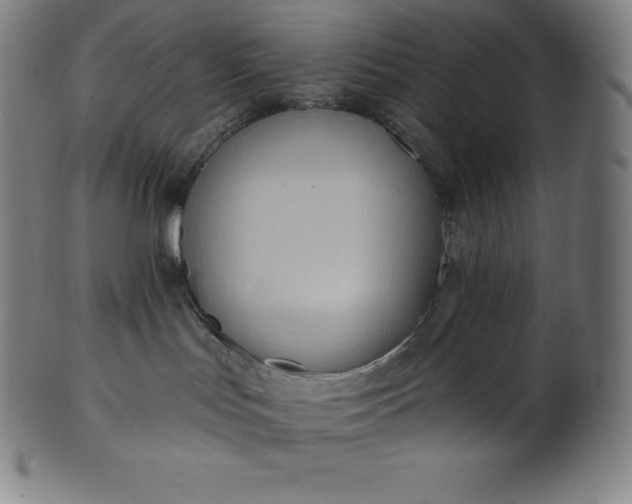 X0000101210047200807111043