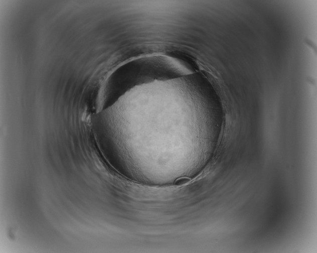 X0000101210048200807111043