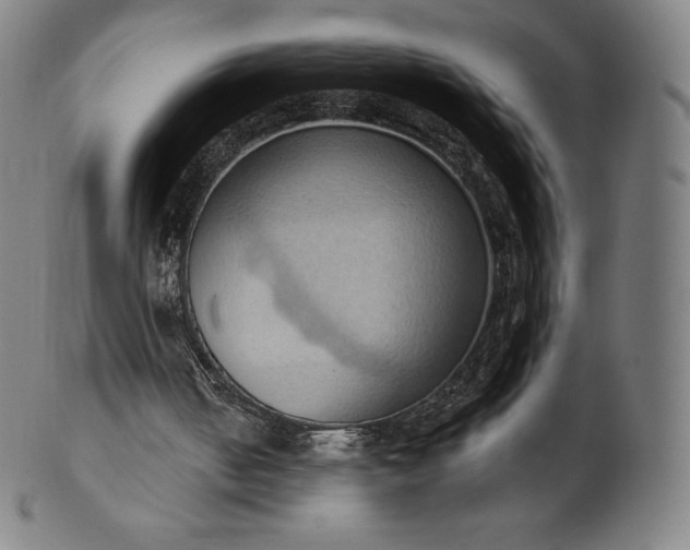 X0000101210050200807111042