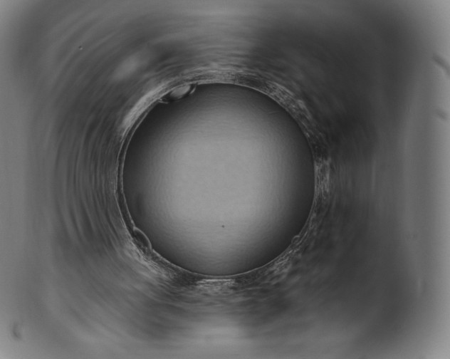 X0000101210051200807111042