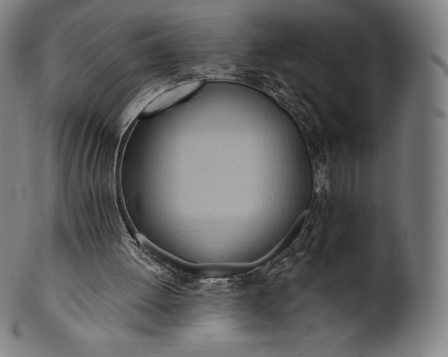 X0000101210052200807111042