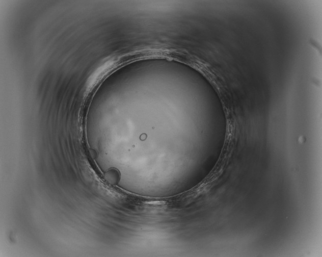 X0000101210053200807111042