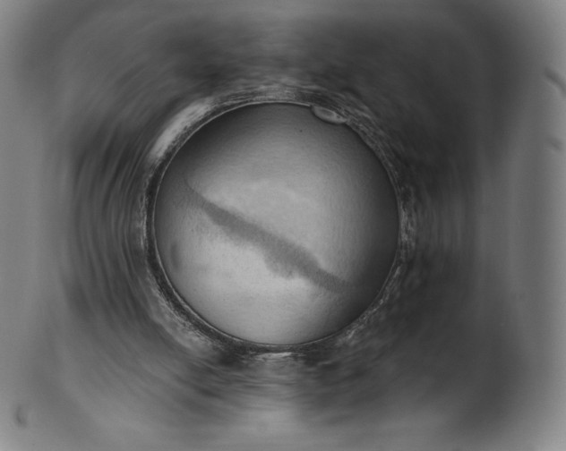 X0000101210054200807111042