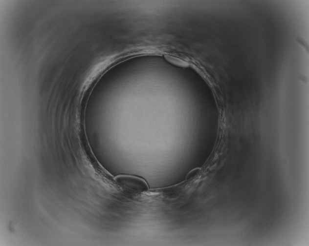 X0000101210055200807111042