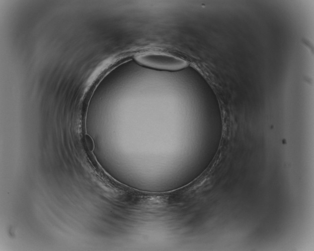 X0000101210056200807111042