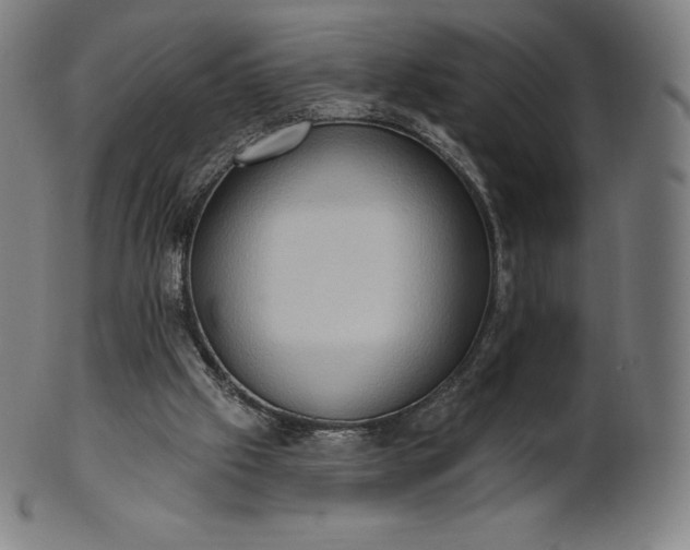 X0000101210057200807111042