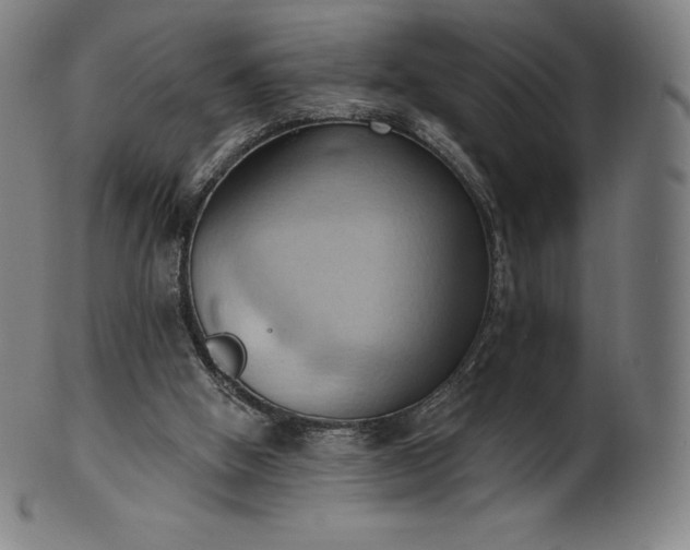 X0000101210058200807111043