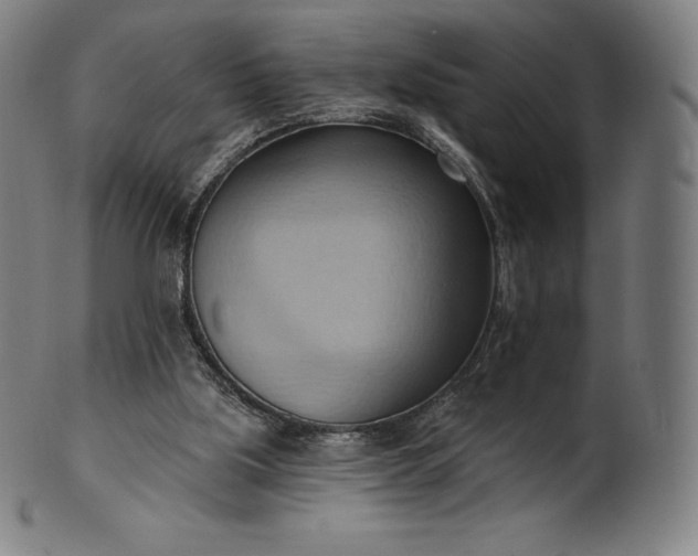 X0000101210059200807111043