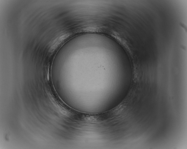 X0000101210062200807111043