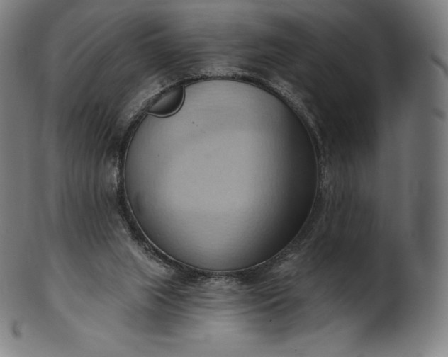 X0000101210063200807111043