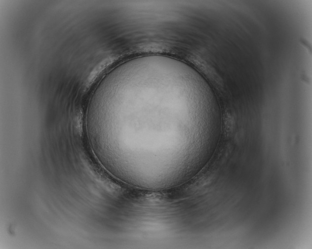 X0000101210064200807111043