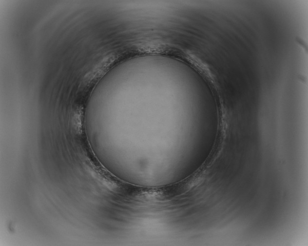 X0000101210065200807111043