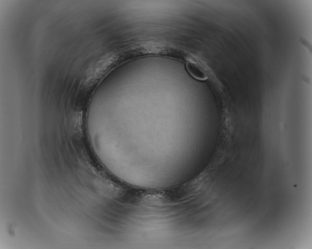 X0000101210066200807111043