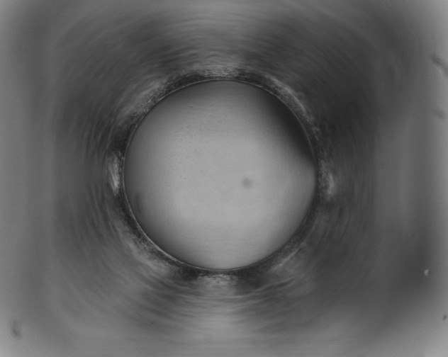 X0000101210069200807111043