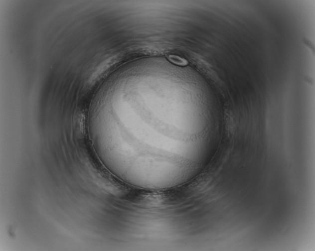 X0000101210071200807111043