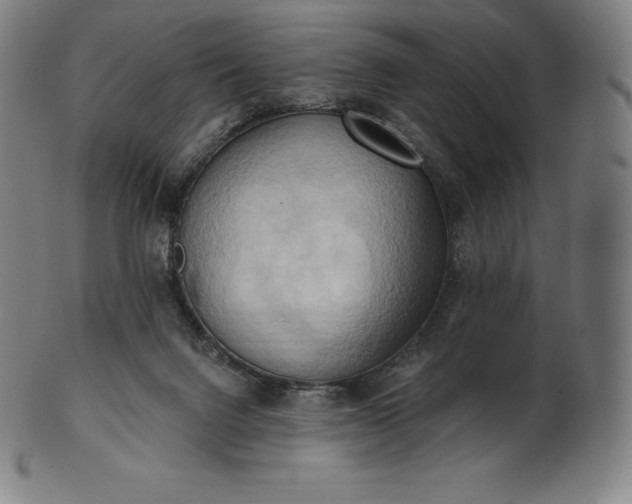 X0000101210072200807111043