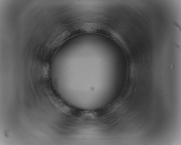 X0000101210073200807111043