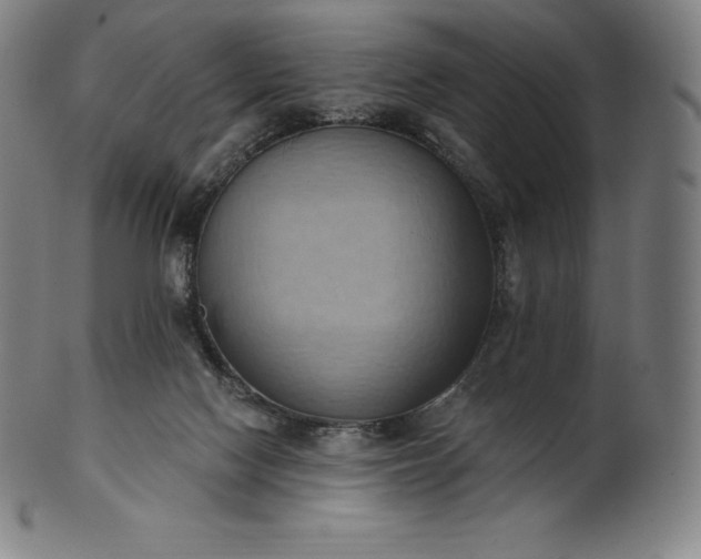 X0000101210074200807111043