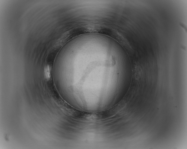 X0000101210075200807111043