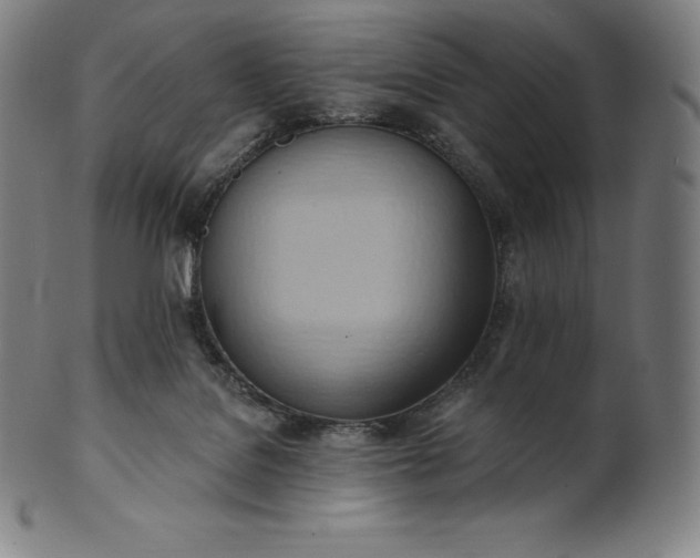 X0000101210076200807111043