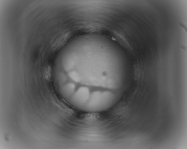 X0000101210077200807111043