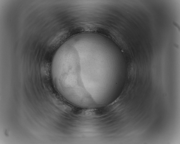 X0000101210078200807111043